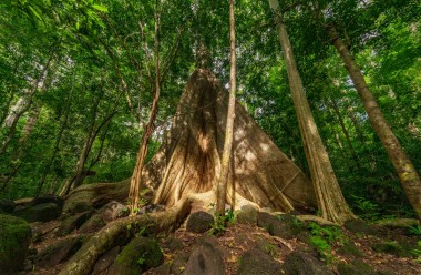 TOUR DU LỊCH VƯỜN QUỐC GIA CÁT TIÊN