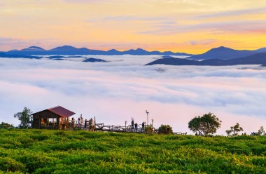 TOUR DU LỊCH ĐÀ LẠT – LANGBIANG LAND