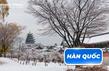 TOUR MÙA ĐÔNG HÀN QUỐC  SEOUL – TRẢI NGHIỆM HANBOK – EVERLAND  THƯ VIÊN STARFIELD COEX