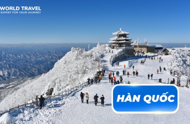 NAMI ISLAND – TRƯỢT TUYẾT – LOTTE  WORLD – HÁI TRÁI CÂY
