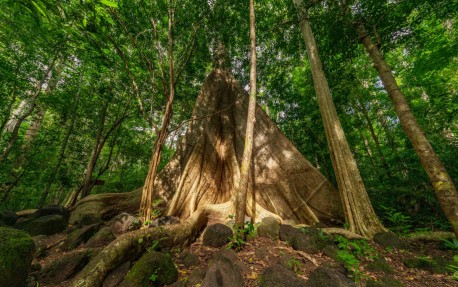 TOUR DU LỊCH VƯỜN QUỐC GIA CÁT TIÊN