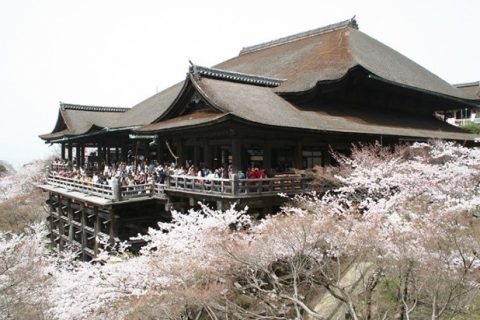 Nhật Bản (Osaka – Kobe – Kyoto – Fuji – Tokyo 6N5D) – Lễ hội hoa mơ Kairakuen