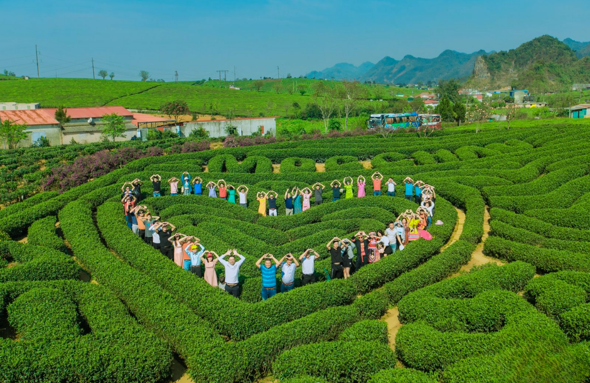 Đồi Chè Trái Tim