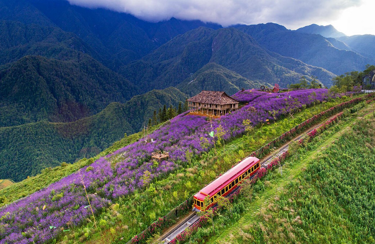 TÀU HOẢ LEO NÚI ĐỖ QUYÊN