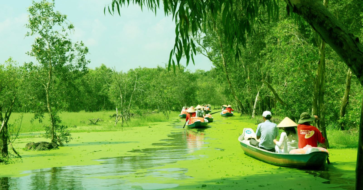 Rừng Tràm Trà Sư