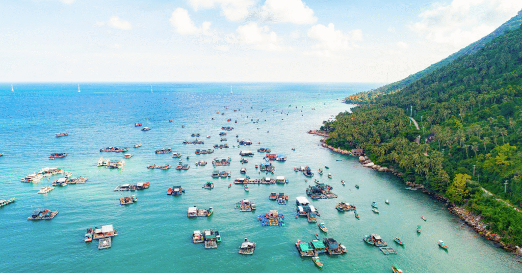 Đảo Hòn Sơn