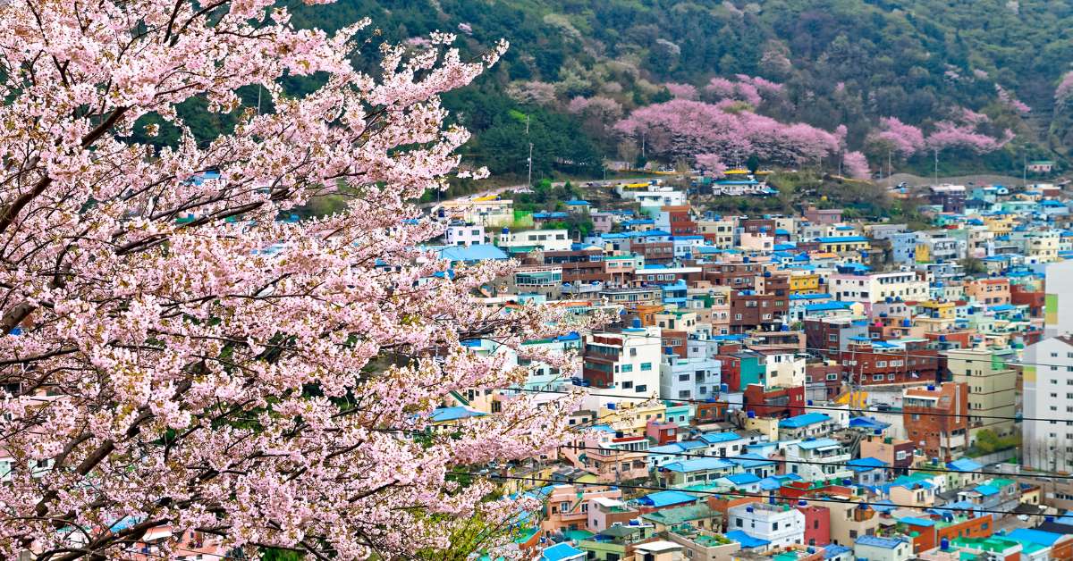 Làng Văn Hóa Gamcheon