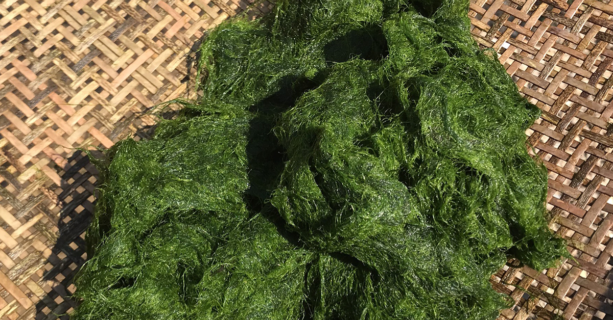 Rêu Đá Tây Bắc