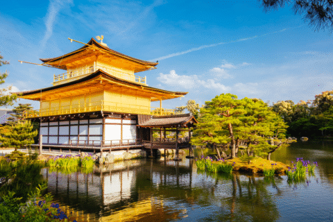 TOUR DU LỊCH NHẬT BẢN – CUNG ĐƯỜNG VÀNG 