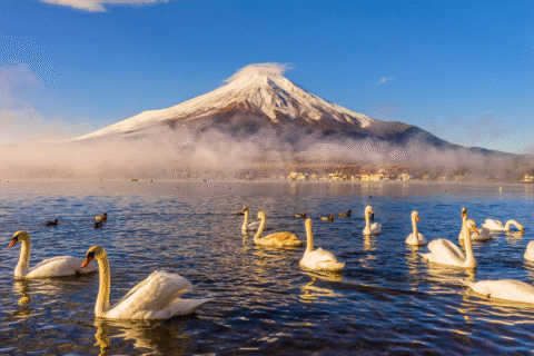 TOUR DU LỊCH NHẬT BẢN ĐẦU THU – TOKYO – NÚI PHÚ SĨ – HAKONE