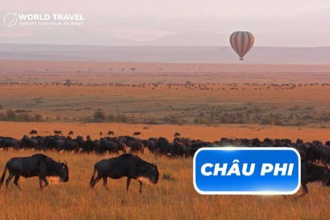 TOUR CHÂU PHI – KENYA – SAFARI – NAKURU LAKE