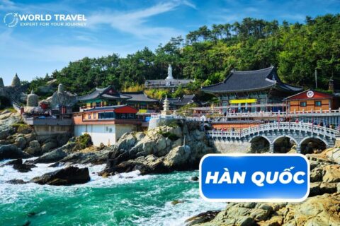 TOUR DU LỊCH HÀN QUỐC – BUSAN – DAEGU – SEOUL – BAY VIETJET AIR
