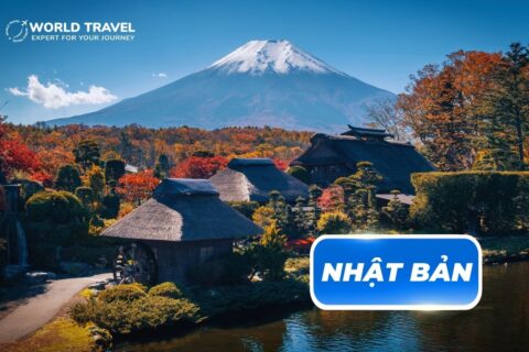 TOUR DU LỊCH NHẬT BẢN – CUNG ĐƯỜNG VÀNG – BAY VIETNAM AIRLINES