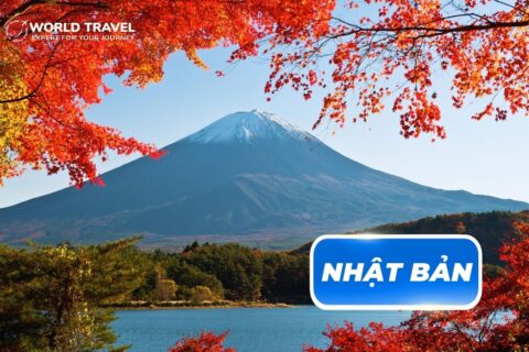 TOUR MÙA THU NHẬT BẢN – TOKYO – NÚI PHÚ SĨ – ĐẠI LỘ ICHO NAMIKI