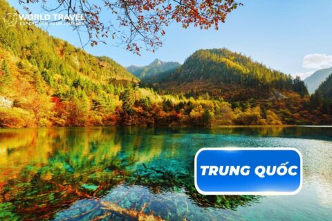 TOUR THÀNH ĐÔ – CỬU TRẠI CÂU – CÔNG VIÊN GẤU TRÚC