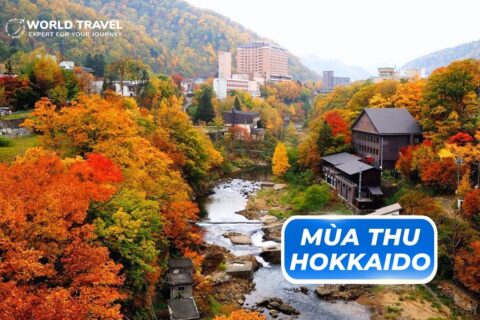 TOUR NHẬT BẢN ĐẾN HOKKAIDO NGẮM MÙA THU LÁ ĐỎ