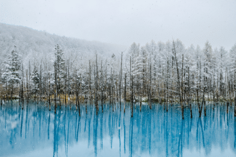 TOUR NHẬT BẢN TRẢI NGHIỆM TRƯỢT TUYẾT TẠI HOKKAIDO