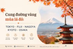 Cung đường vàng mùa lá đỏ: TOKYO – FUJI – NAGOYA – KYOTO – OSAKA