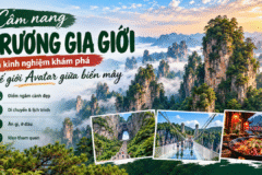 Du lịch Trương Gia Giới: Khám phá miền núi kỳ vĩ giữa biển mây